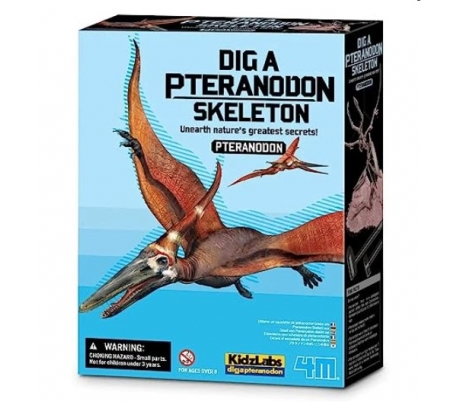 ערכת חפירת שלד דינוזאור Pteranodon