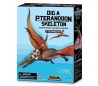 ערכת חפירת שלד דינוזאור Pteranodon